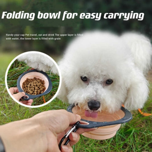 Essential 5-Piece Puppy Starter Kit