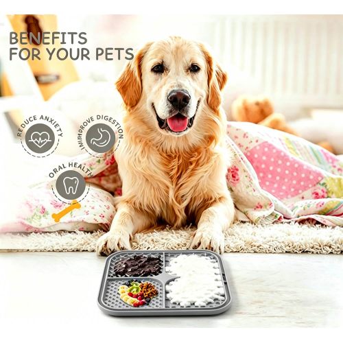 Essential 5-Piece Puppy Starter Kit