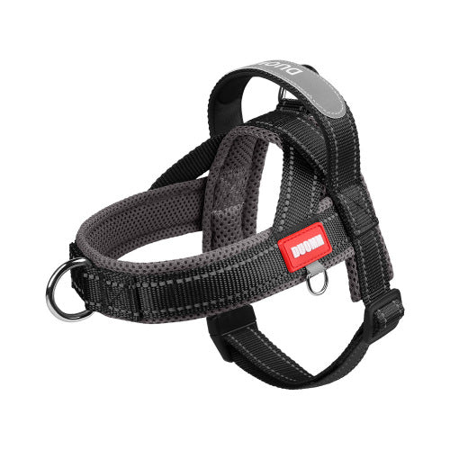 Essential 5-Piece Puppy Starter Kit