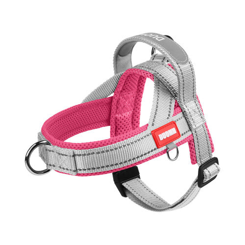 Essential 5-Piece Puppy Starter Kit